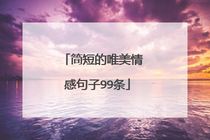 简短的唯美情感句子99条