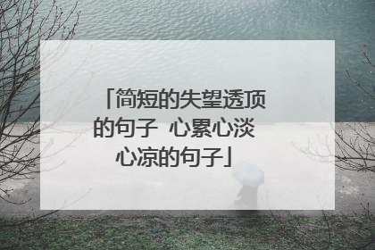 简短的失望透顶的句子 心累心淡心凉的句子