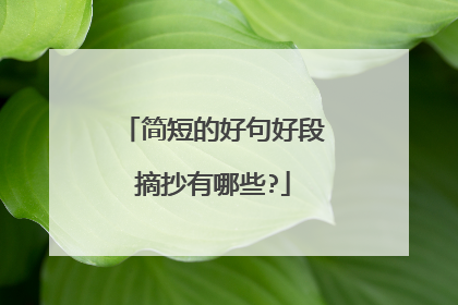 简短的好句好段摘抄有哪些?