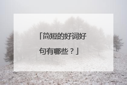 简短的好词好句有哪些?