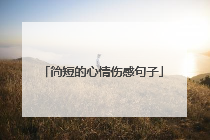简短的心情伤感句子