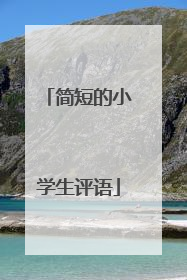 简短的小学生评语