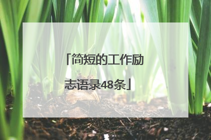 简短的工作励志语录48条