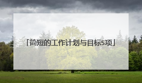 简短的工作计划与目标5项