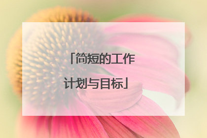 简短的工作计划与目标