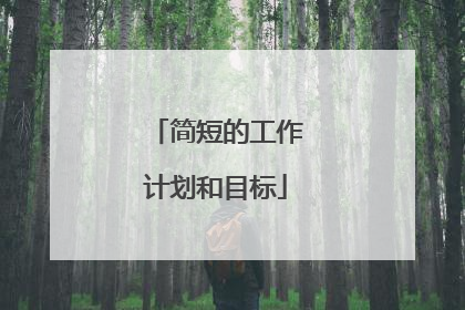 简短的工作计划和目标