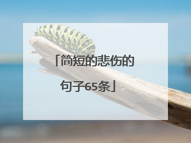 简短的悲伤的句子65条