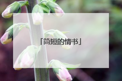 简短的情书