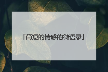 简短的情感的微语录