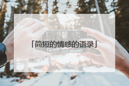 简短的情感的语录