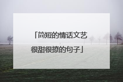 简短的情话文艺很甜很撩的句子