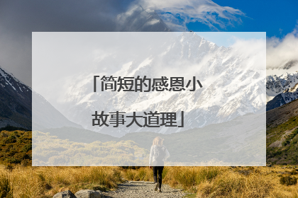 简短的感恩小故事大道理