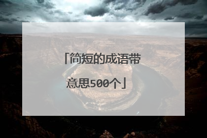 简短的成语带意思500个