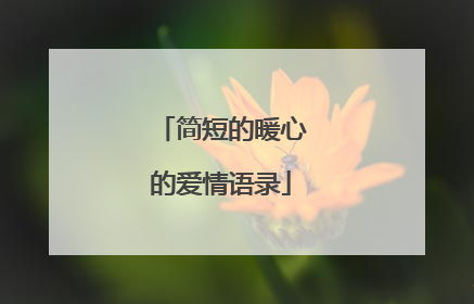 简短的暖心的爱情语录