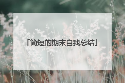 简短的期末自我总结