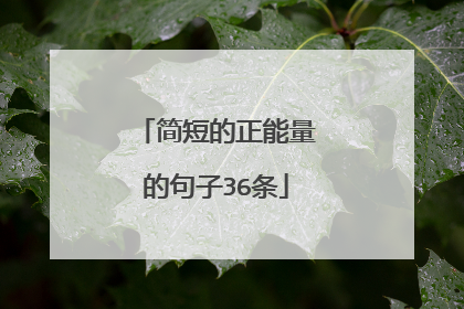 简短的正能量的句子36条