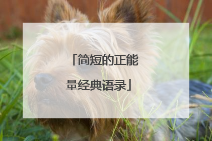 简短的正能量经典语录