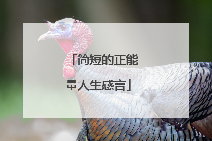 简短的正能量人生感言