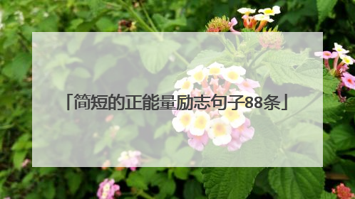 简短的正能量励志句子88条