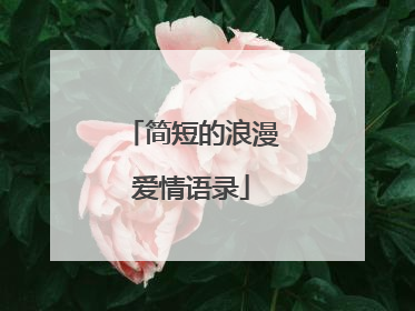 简短的浪漫爱情语录