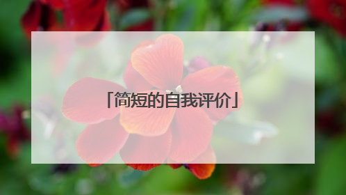 简短的自我评价