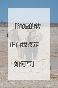 简短的转正自我鉴定如何写