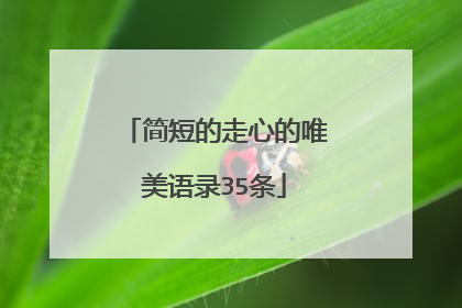 简短的走心的唯美语录35条