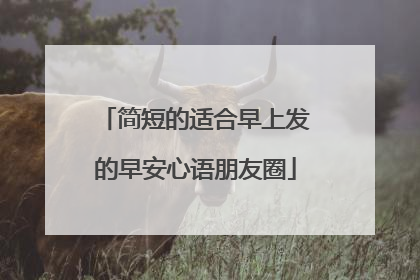 简短的适合早上发的早安心语朋友圈