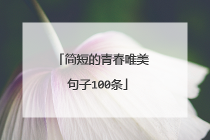 简短的青春唯美句子100条