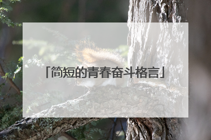 简短的青春奋斗格言