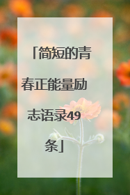 简短的青春正能量励志语录49条