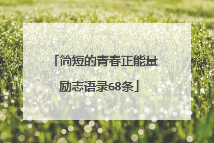简短的青春正能量励志语录68条