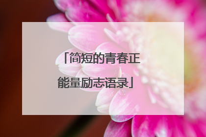 简短的青春正能量励志语录