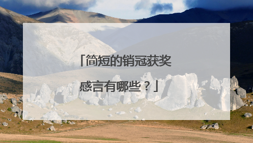简短的销冠获奖感言有哪些?