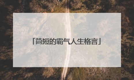 简短的霸气人生格言