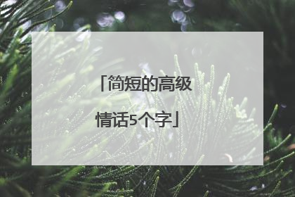 简短的高级情话5个字