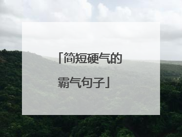 简短硬气的霸气句子