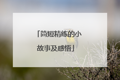 简短精练的小故事及感悟