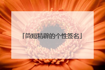 简短精辟的个性签名