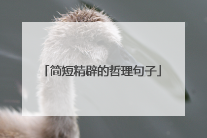 简短精辟的哲理句子