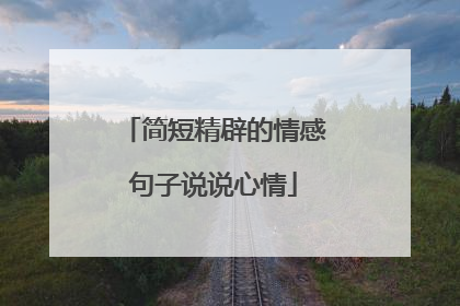 简短精辟的情感句子说说心情