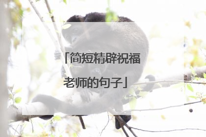 简短精辟祝福老师的句子