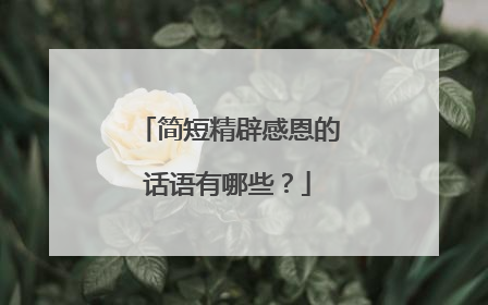 简短精辟感恩的话语有哪些?