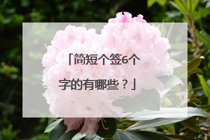 简短个签6个字的有哪些?