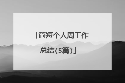 简短个人周工作总结(5篇)