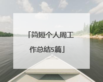 简短个人周工作总结5篇