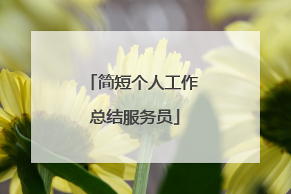 简短个人工作总结服务员