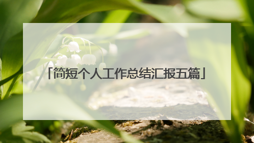简短个人工作总结汇报五篇
