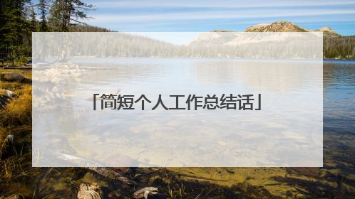 简短个人工作总结话