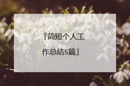 简短个人工作总结5篇